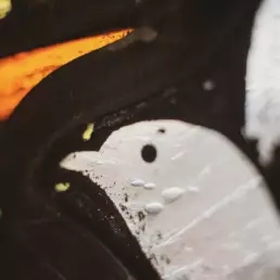 Close-up of a stained glass dove symbol with white wings and colourful glass details, representing peace and the Holy Spirit